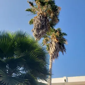 Bed and breakfast Sea Shell Palms, ***